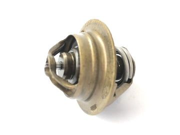 Benelli TNT 1130 [2009] - Thermostat