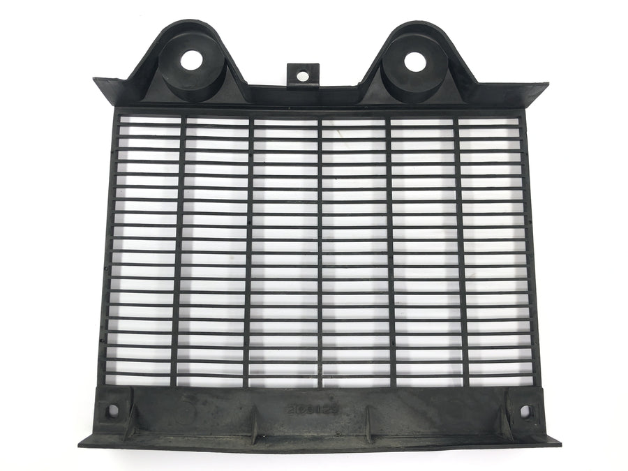 Triumph Daytona 900 T300D [1996] - Radiator grille, radiator cover, front radiator guard