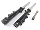 Kawasaki ZRX 1200 S ZRT20A [2002] - fork telegabel with axis-2
