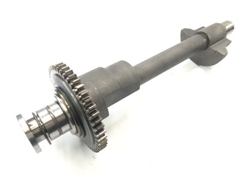 Triumph Speed ​​Triple T509 [1998] - Balance shaft - 0