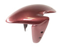 Benelli TNT 1130 [2009] - Front fender mudguard-1