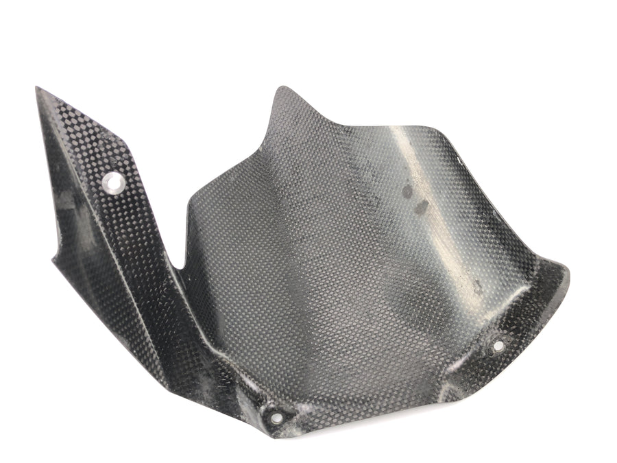 Ducati 999 H4 [2003] - rear wheel cover carbon