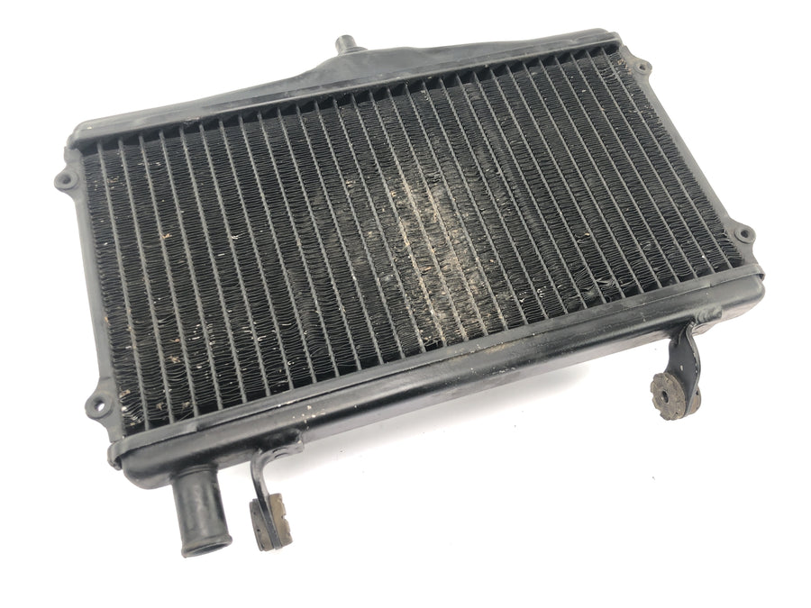 Honda NSR 125 JC20 [1991] - Kühler Wasserkühler Kühlernetz Kühlradiator