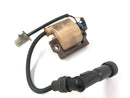 Yamaha XT 550 5Y3 [1982] - ignition coil with spark plug plug-4