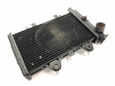 Triumph Daytona 900 T300 [1996] - Radiator water cooler-3