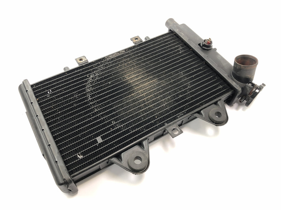 Triumph Daytona 900 T300 [1996] - Radiator water cooler