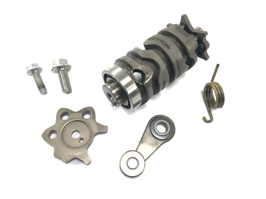 Honda FMX 650 RD12 [2006] - shift drum shift star shift lever shift peg