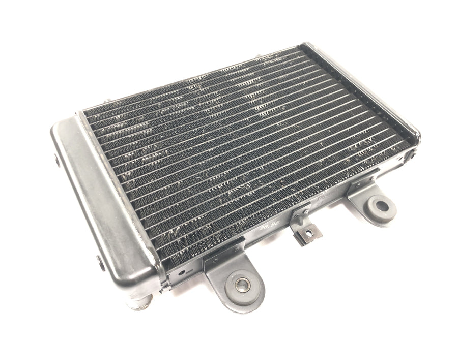 Triumph Adventurer 900 T309RT [1998] - Radiator water cooler radiator cooling system