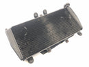 Triumph Daytona 955i T595N [2003] - cool water cooler radiator at the front-1