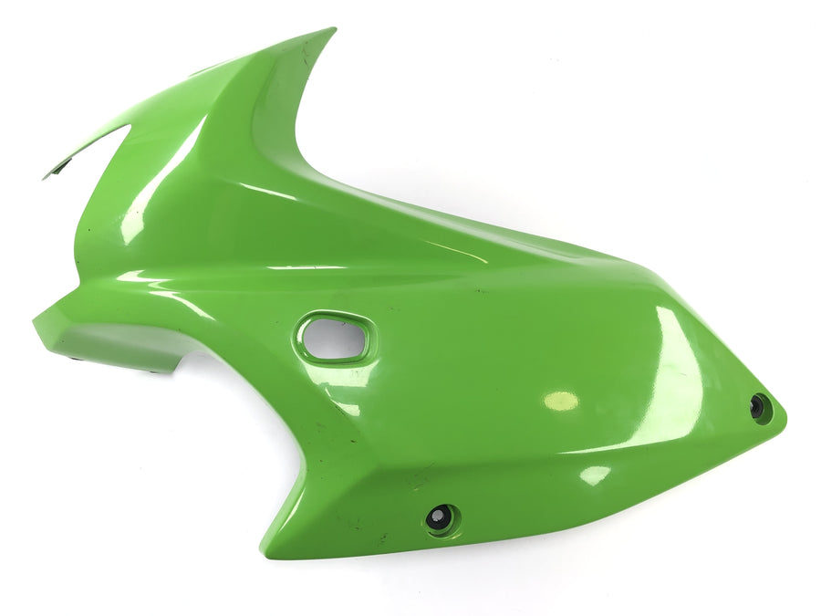 Kawasaki ZRX 1200 S ZRT20A [2002] - Clearing side cladding on the left