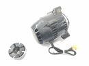 Triumph Daytona 900 T300 [1996] - Alternator DC generator generator-5