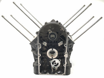Moto Guzzi Stelvio 1200 4V [2009] - motor housing empty housing - 0