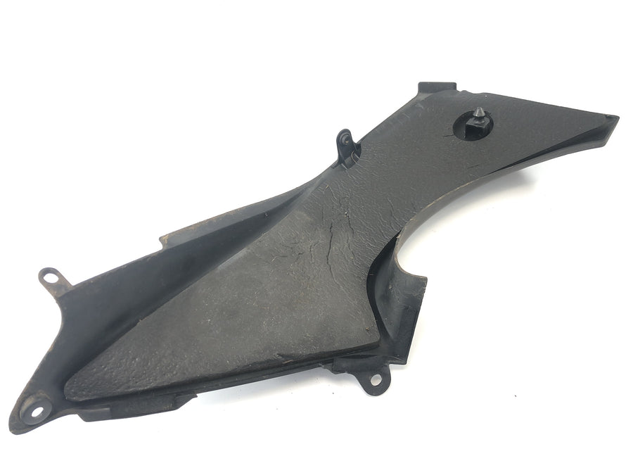 Kawasaki ZX 12 R ZXT20A [2001] - Ram air cover fairing on the side left and right