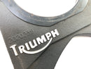 Triumph Daytona 955i T595 [1999] - Brake anchor plate-2