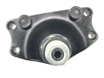 BMW R 1150 R R21 [2003] - fork bridge below Telelever - 0