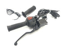 BMW F 650 GS Dakar [2007] - Handlebar switch right Throttle with handbrake pump-3