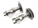 Aprilia RSV 1000 RP Mille [2001] - Camshaft set rear exhaust camshaft and intake camshaft rear cylinder-1