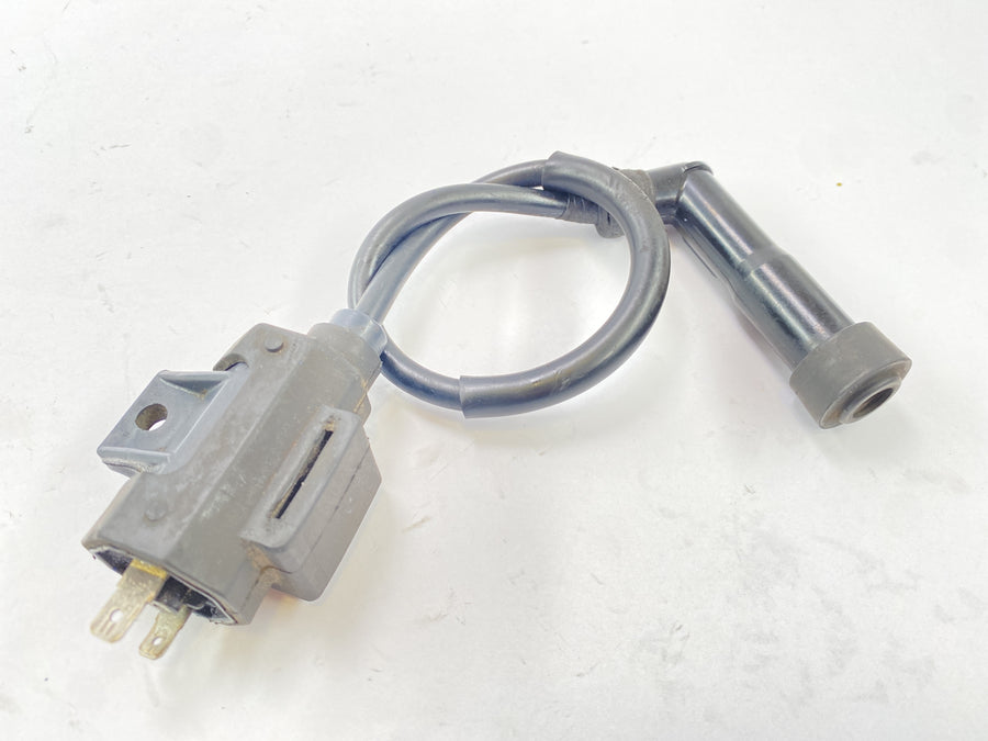 Yamaha XT 600 Z Ténéré 1vj [1986] - ignition coil ignition module with plug
