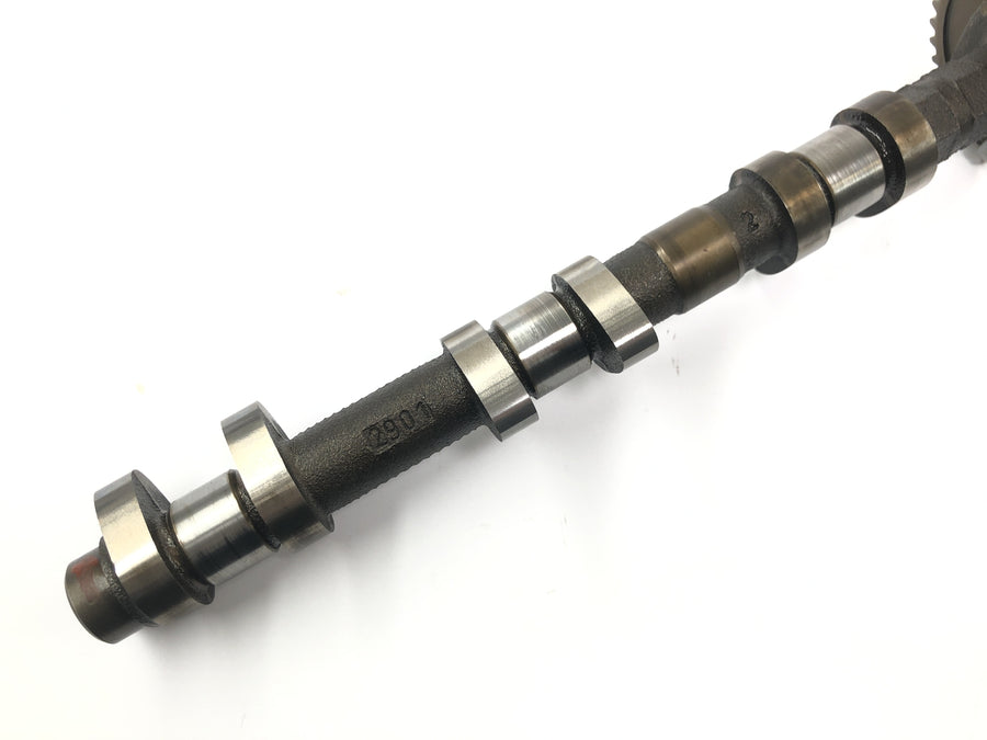 Triumph Tiger 955i 709EN [2003] - Camshaft exhaust camshaft