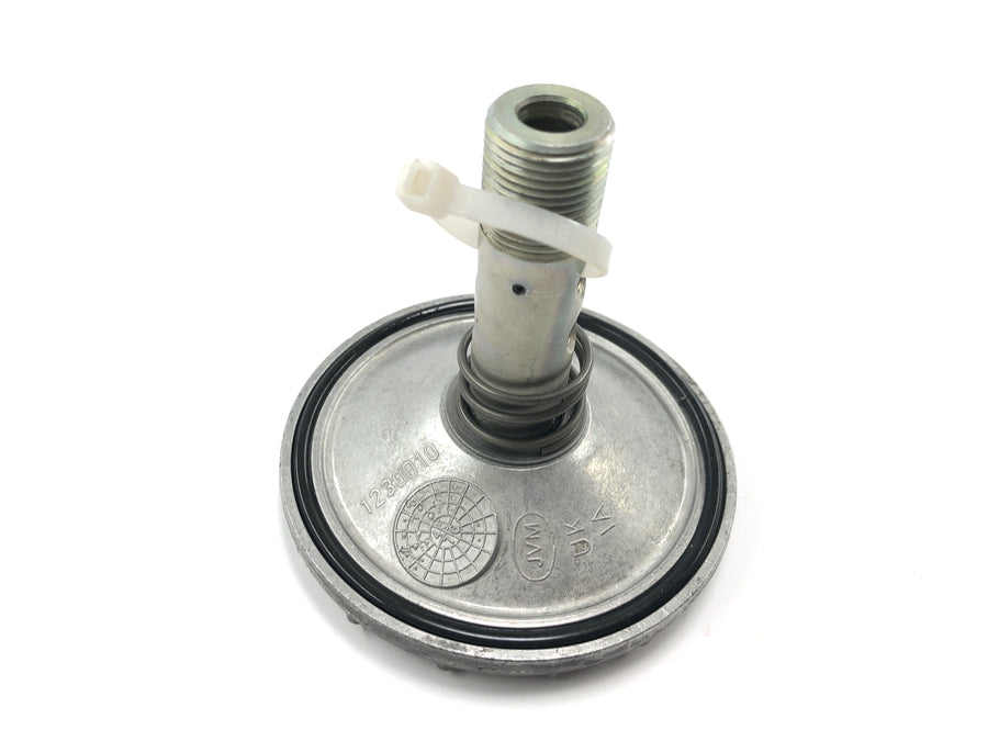 Triumph Adventurer 900 T309RT [1998] - Oil filter cover engine cover