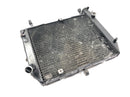 Yamaha YZF R1 RN04 [2001] - Radiator water cooler network-4