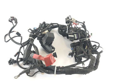 BMW R 1200 R [2007] - Wiring harness