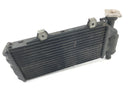 BMW F 650 GS R13 [2002] - cool water cooler motor cooler at the front-1