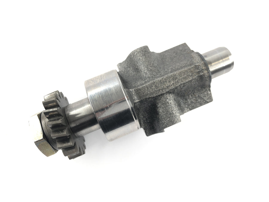 Aprilia RSV 1000 R [2004] - Rear cylinder balance shaft