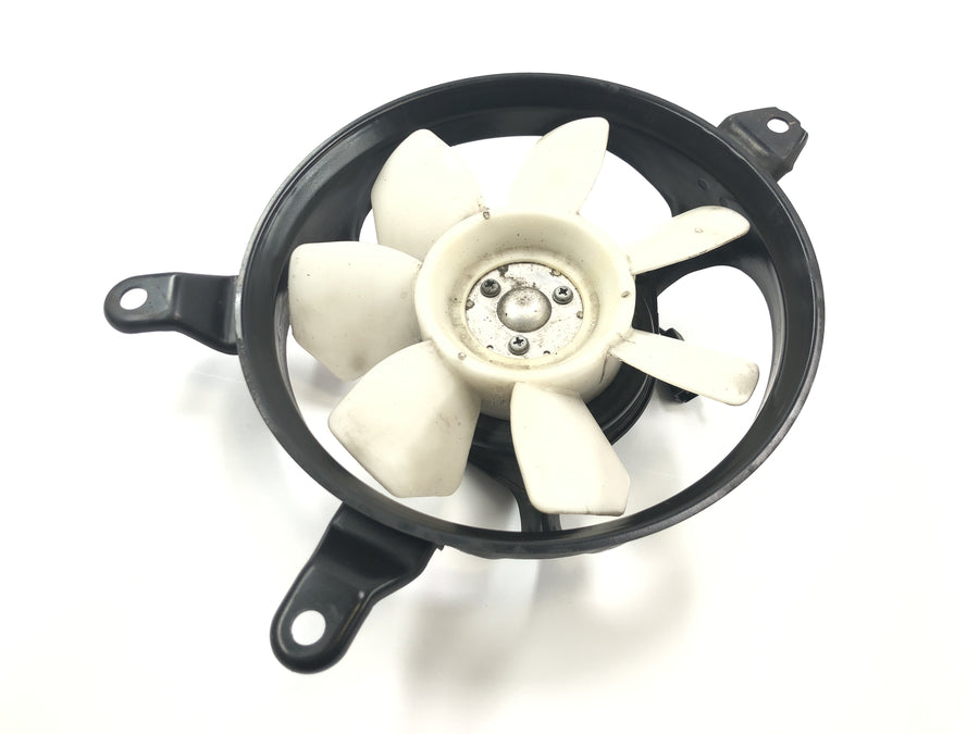 Triumph Tiger 955i 709EN [2003] - Fan radiator fan electric fan