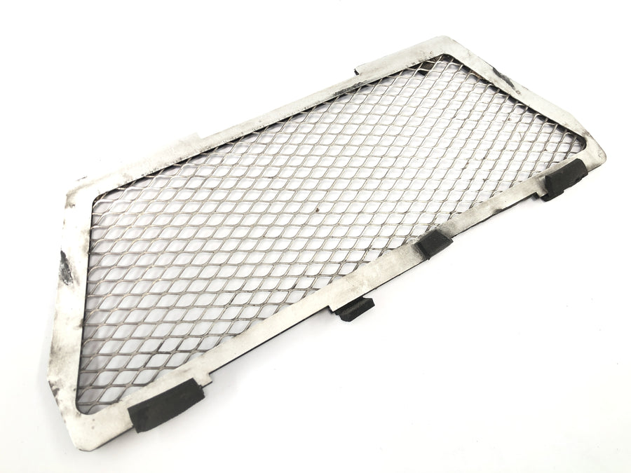BMW R 1150 GS R21 [2002] - Radiator grille protective grille panel at the front