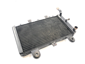Triumph Tiger 955i 709EN [2003] - Radiator water cooler cooling system - 0