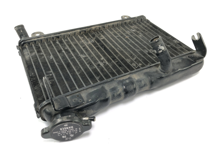 Suzuki RG 250 Gamma GJ21D [1987] - Radiator water cooler cooling system