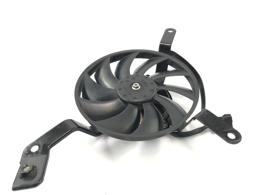 Triumph Street Triple R 675 D67LD [2010] - cooler fan engine fan engine fan radiator blower