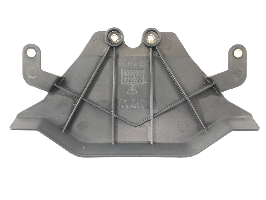 Benelli TNT 1130 [2009] - Lower fork bridge cover