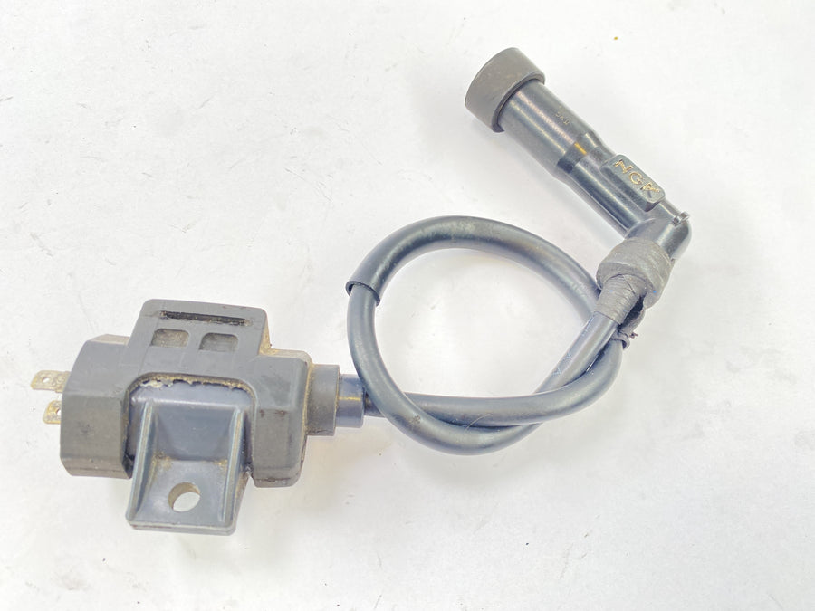 Yamaha XT 600 Z Ténéré 1vj [1986] - ignition coil ignition module with plug
