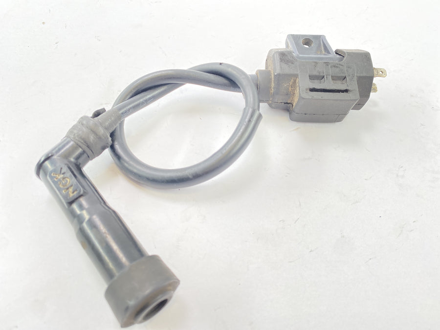 Yamaha XT 600 Z Ténéré 1vj [1986] - ignition coil ignition module with plug