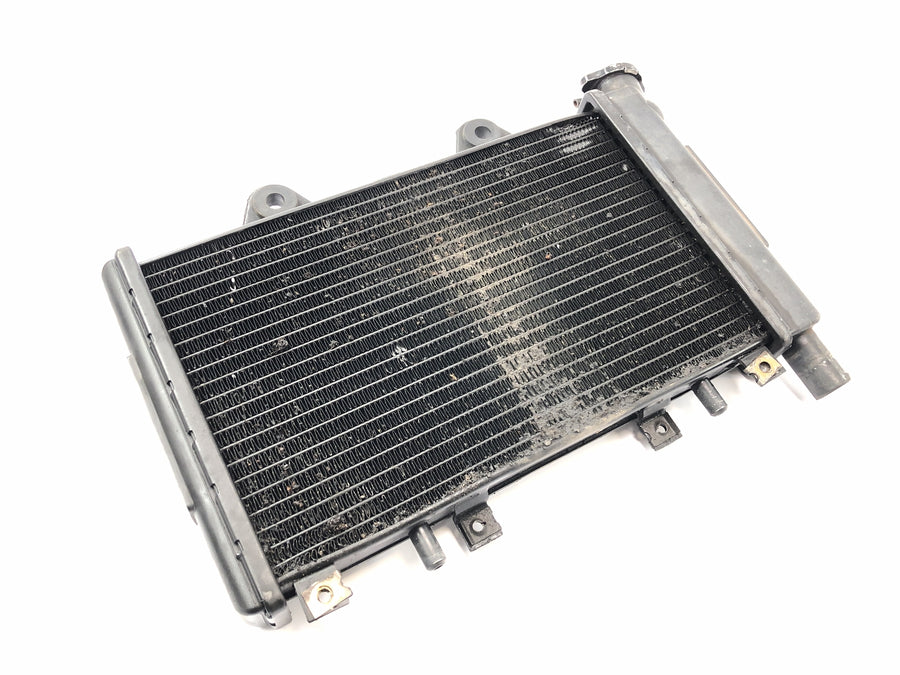 Triumph Daytona 900 T300 [1996] - Radiator water cooler