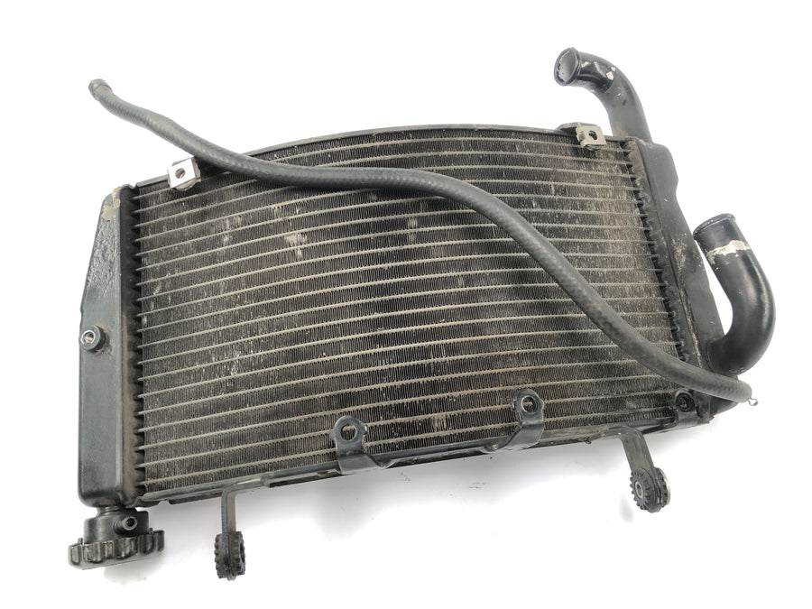 Ducati 999 H4 [2003] - cool water cooler radiator