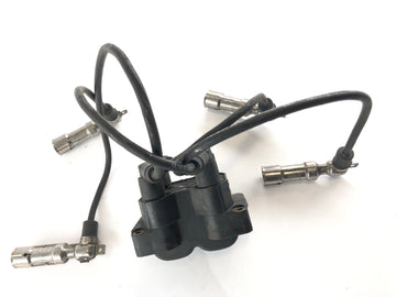 BMW K 1200 RS [2002] - Ignition coil with plug - 0