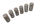 Suzuki RG 250 Gamma GJ21D [1987] - clutch spring set-3