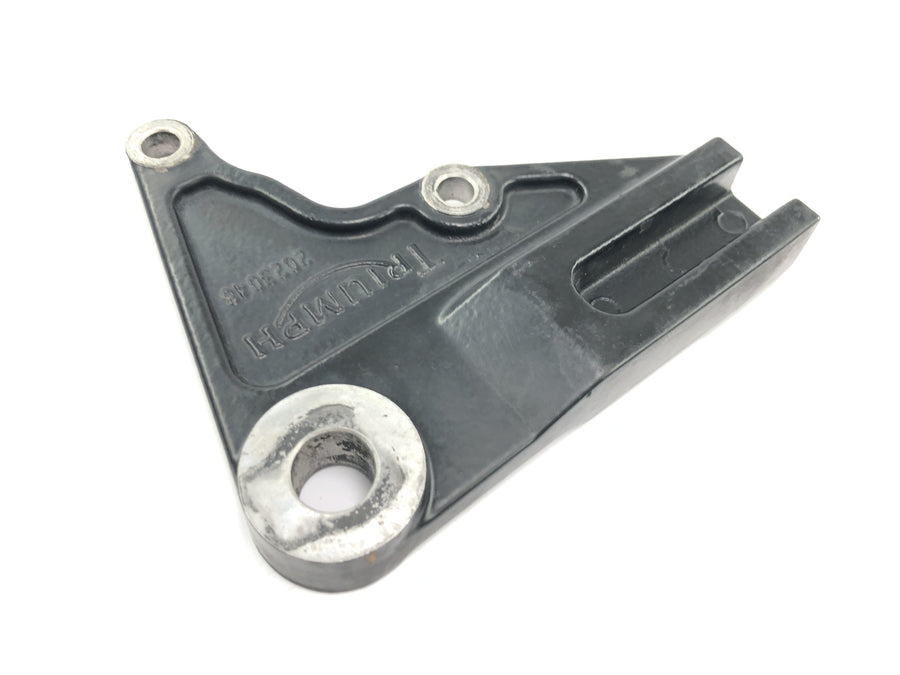 Triumph Bonneville T100 986MF [2012] - Rear brake anchor caliper mount