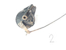Honda XL 600 RM PD04 [1988] - Brake drum brake anchor plate rear-2
