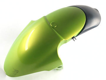 Triumph Street Triple R 675 D67LD [2008] - Front fender