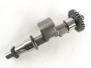 Aprilia RST 1000 Futura [2004] - compensation wave - 0