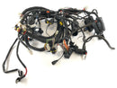 Aprilia RSV 1000 RR Factory [2009] - Wiring harness-2