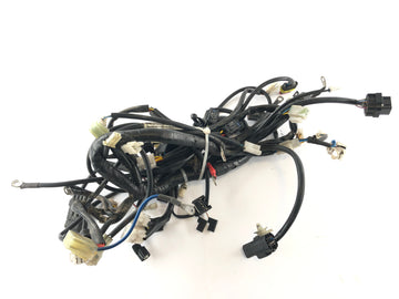 SWM SM 125 R [2017] - Wiring harness