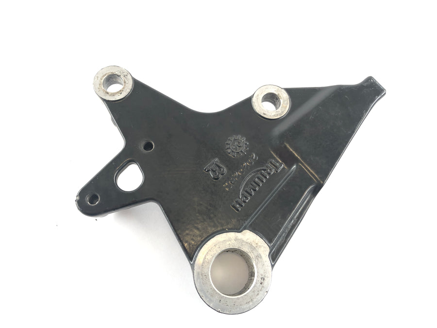 Triumph Tiger 1050 115NG [2016] - Brake anchor brake anchor plate