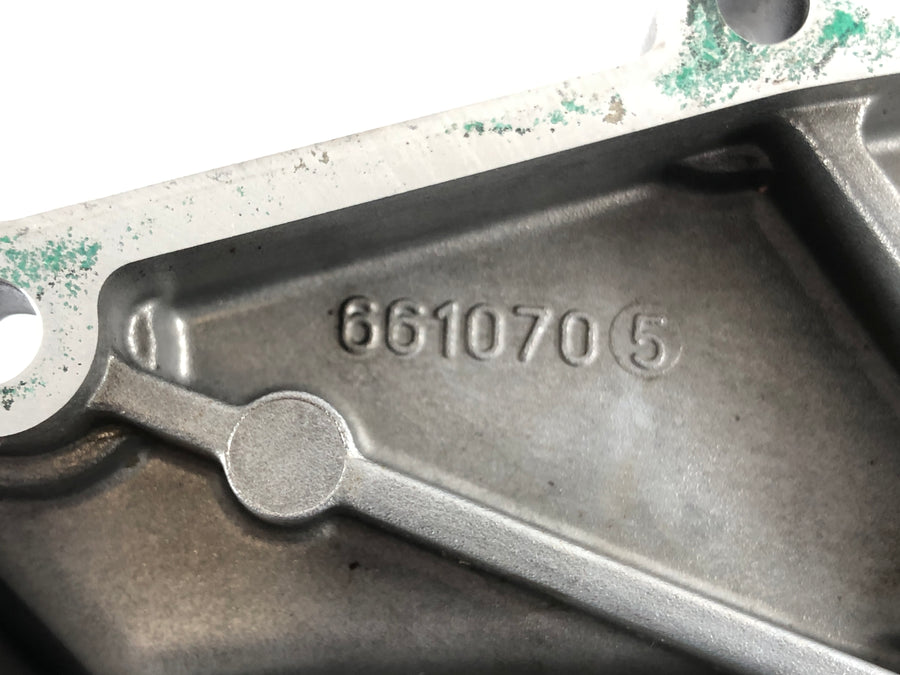 Aprilia RSV 1000 RR Factory [2009] - Alternator cover engine cover
