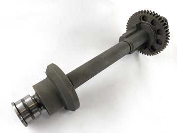 Triumph Speed ​​Triple T509 [1997] - Balance shaft - 0