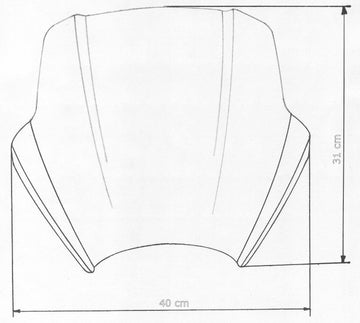 BMW Speed ​​screen for naked bike-speed screen for naked bikes "SPS" - 0